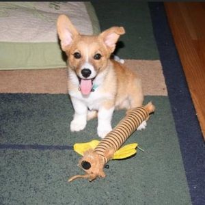 Meet your Posher, Jorge